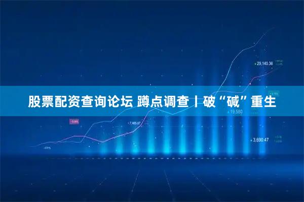股票配资查询论坛 蹲点调查丨破“碱”重生