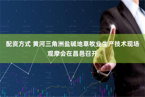 配资方式 黄河三角洲盐碱地草牧业生产技术现场观摩会在昌邑召开