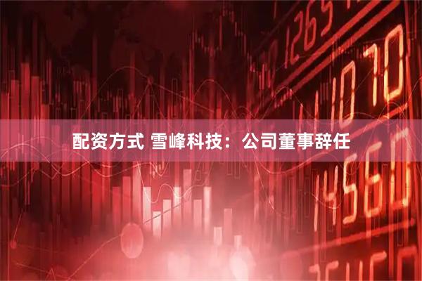 配资方式 雪峰科技：公司董事辞任