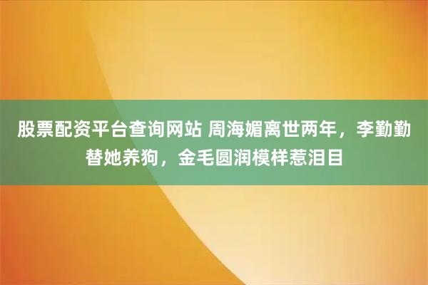 股票配资平台查询网站 周海媚离世两年，李勤勤替她养狗，金毛圆润模样惹泪目